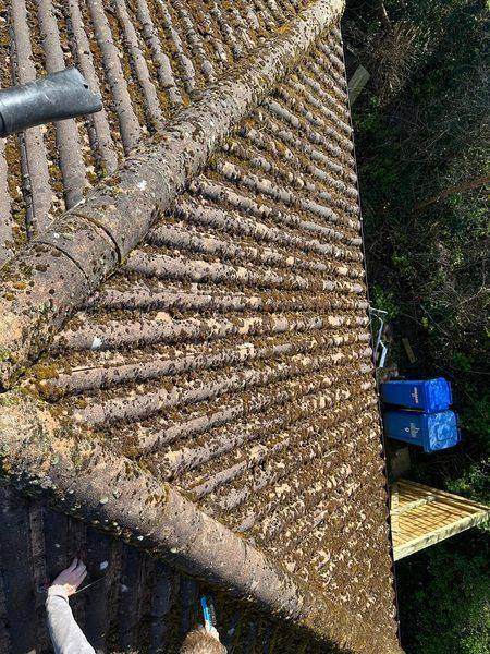 Moss and lichen over the old pantiles before anything came off
