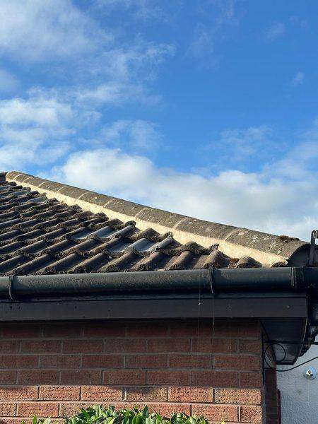 Close-up of the new bedding above the dark tiles and black gutter