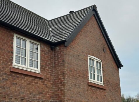 removal of a wasp nest in roof