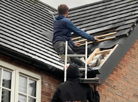 removal of a wasp nest in roof