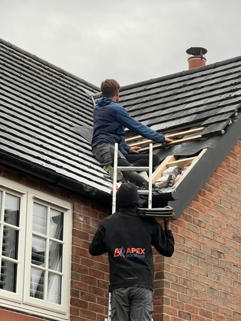 removal of a wasp nest in roof