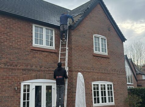 removal of a wasp nest in roof