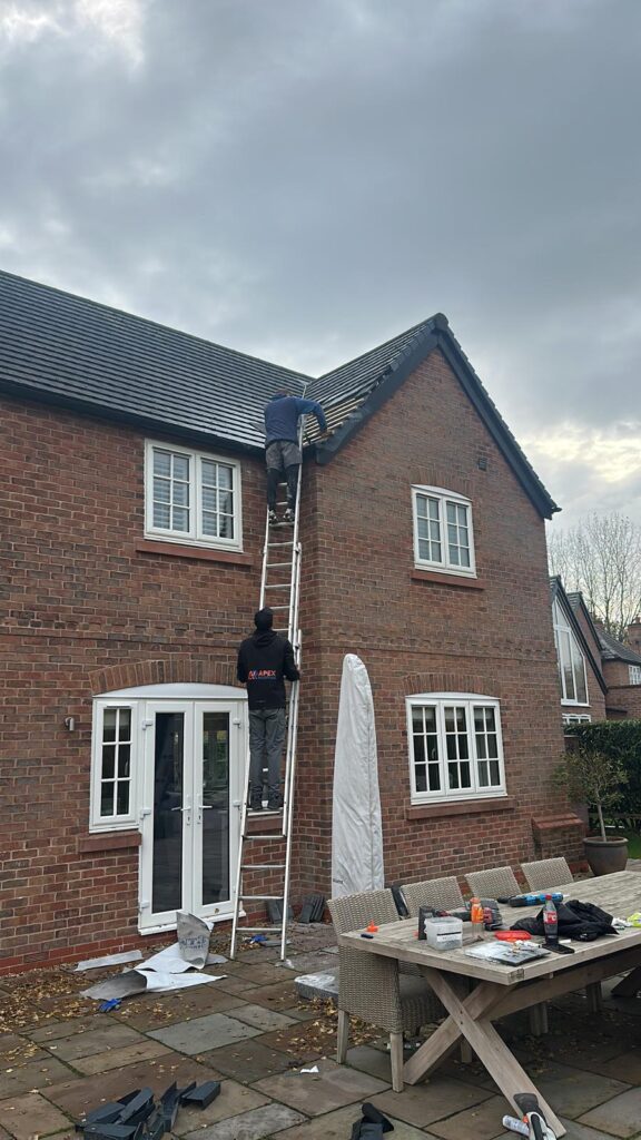 removal of a wasp nest in roof