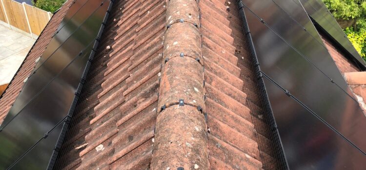 dry ridge system warrington