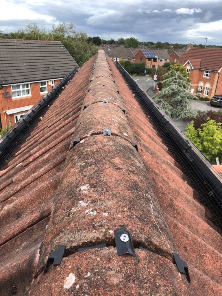 dry ridge system warrington